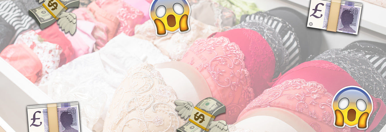 why big bras expensive full bust