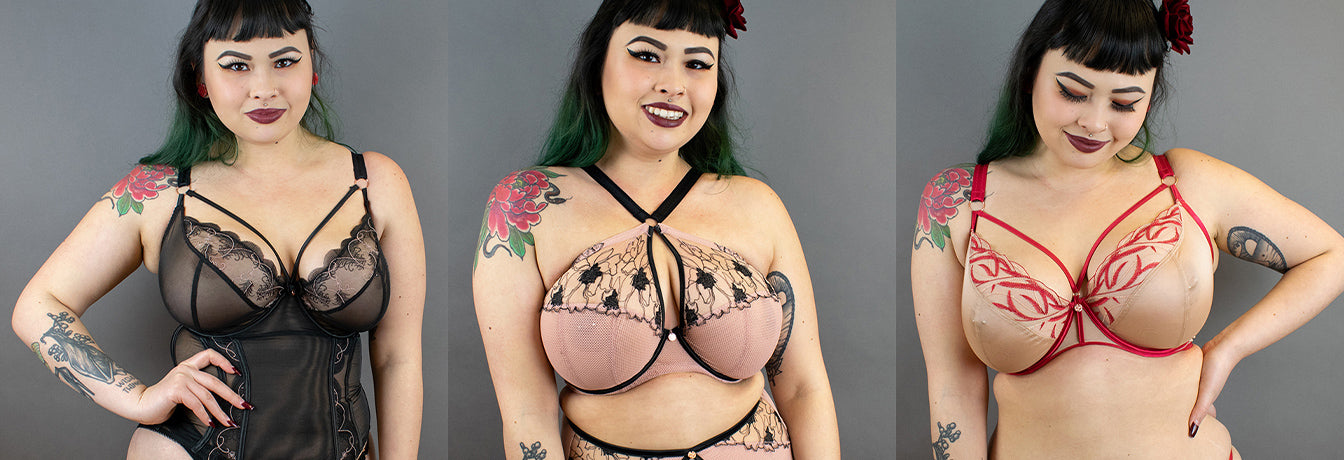scantilly lingerie guest blog