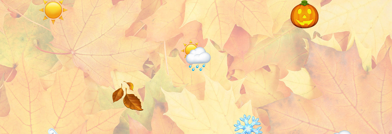 summer to winter