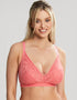 Cleo By Panache Alexis Non Wired Bralette Sunkiss Coral