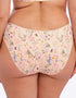 Fantasie Pippa Brief Summer Garden Print