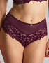 Panache Allure Deep Brief Plum Purple