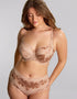 Panache Clara Full Cup Bra Honey
