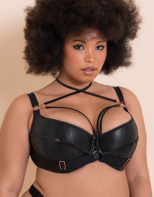 Scantilly Harnessed Padded Half Cup Bra Black