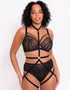 Scantilly Rules of Distraction Harness Black