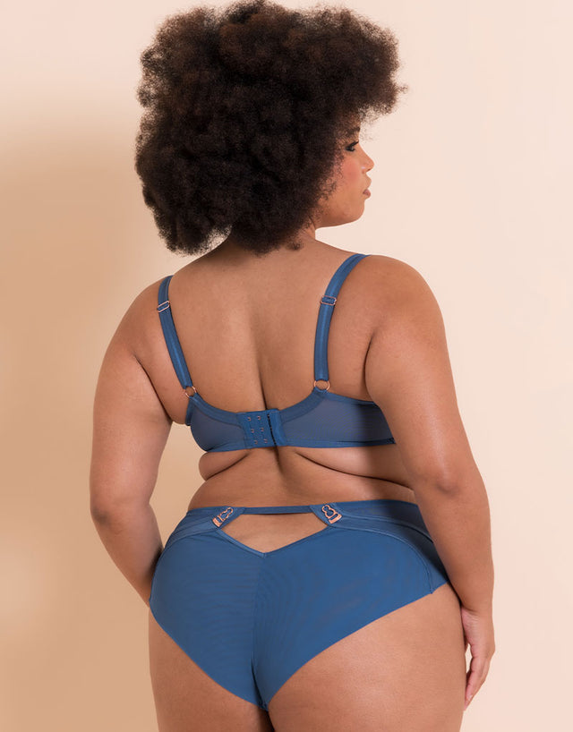 Scantilly Suspense High Waist Brief French Blue