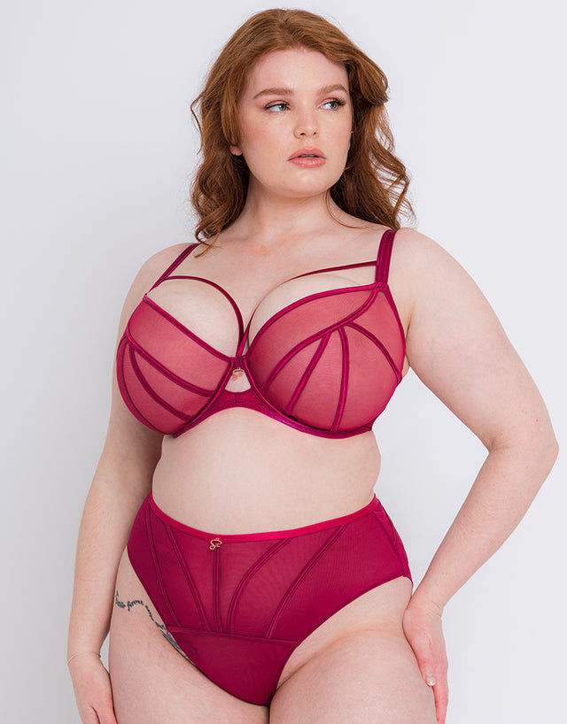 Scantilly Senses High Waist Brief Cherry