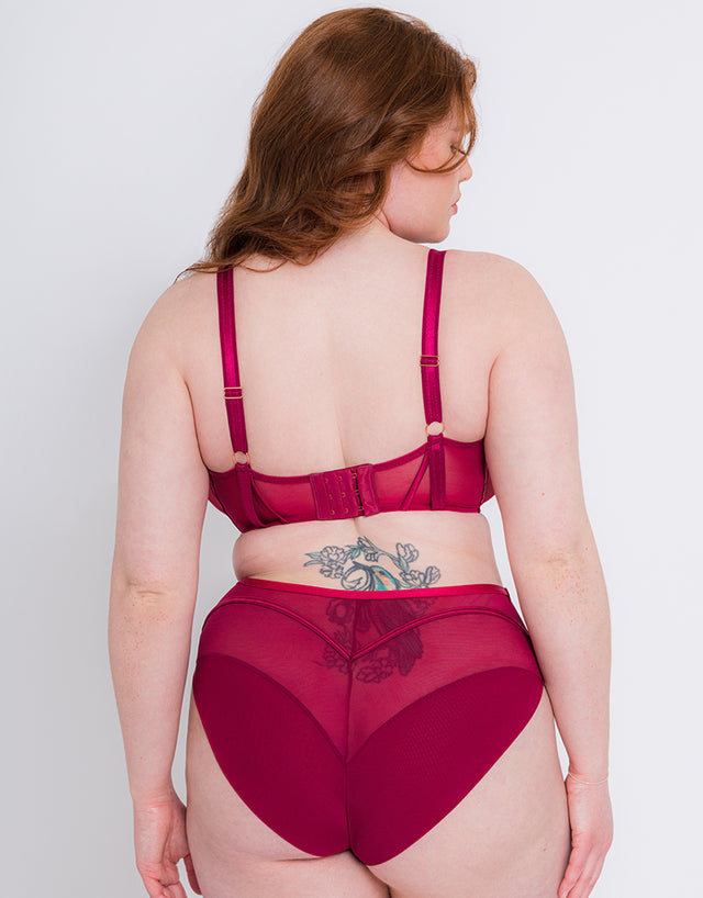 Scantilly Senses High Waist Brief Cherry