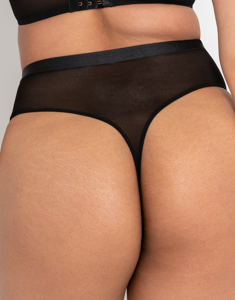 Scantilly Lovers Knot Thong Black/Latte
