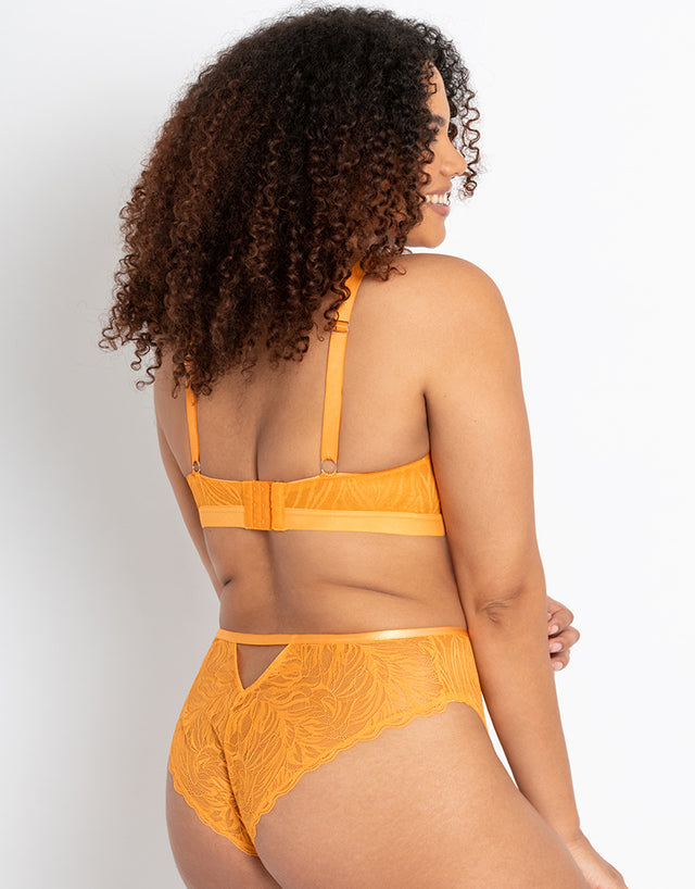 Curvy Kate Lace Daze Brazilian Brief Mango