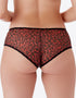 Gossard Glossies Leopard Short Black/Red