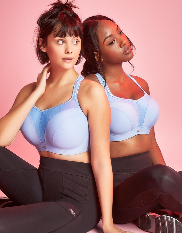 Panache Sports Bra Sky Blue
