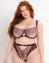 Scantilly Lovers Knot Thong Fig/Latte